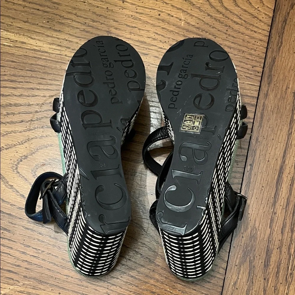 Stylish Pedro Garcia Black and Green Wedge Sandals, size 39 1/2, NWOT‎